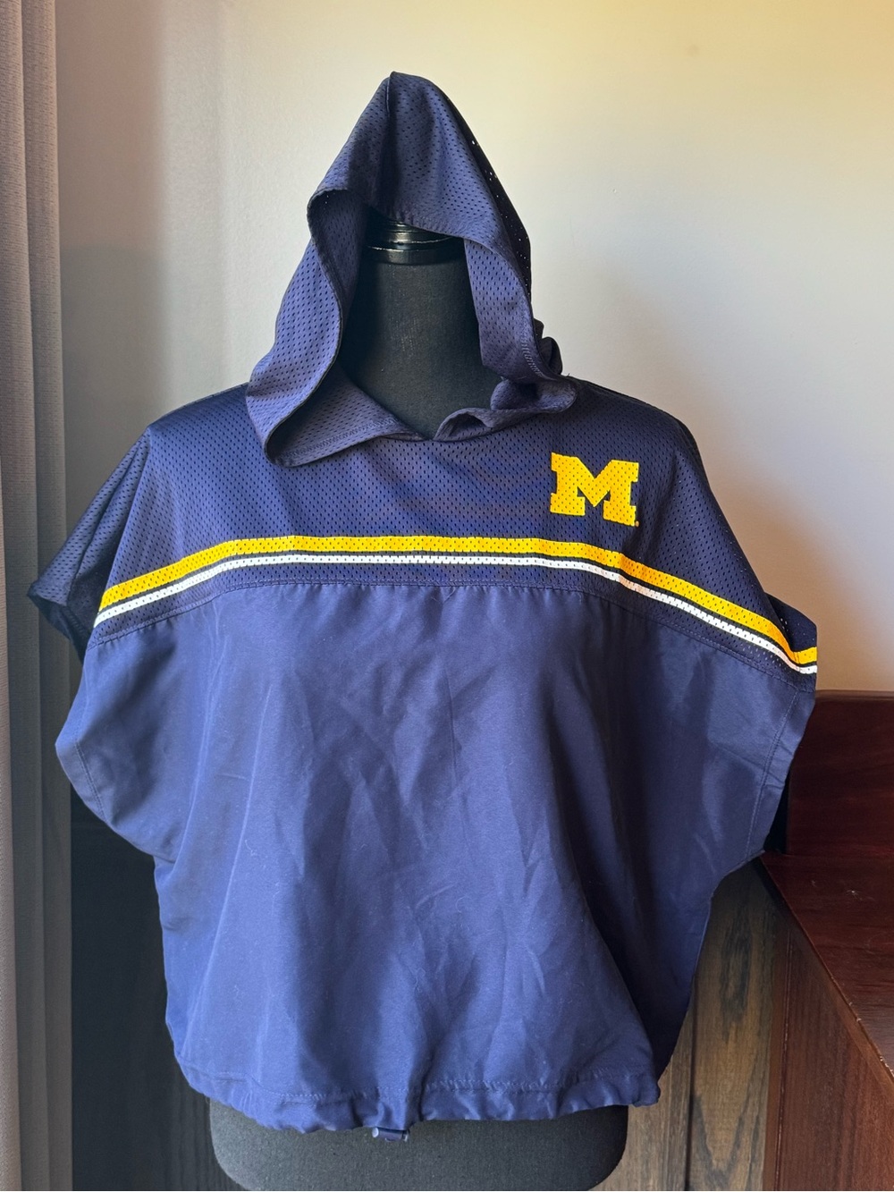 Hanes Navy and Yellow University of Michigan Hooded Jersey